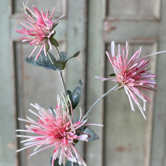 L&V BE1082 Sassafras Mum Spray Pink